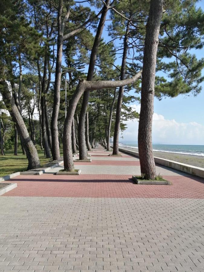 Apartment Vesta Kobuleti Bagian luar foto